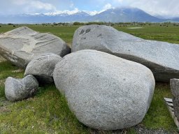 Elkhorn Granite Lichen Boulder